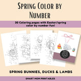 Spring Friends Color by Number Pages