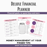 Deluxe Financial Planner